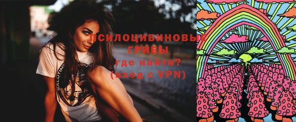 соль курить ск Дмитров