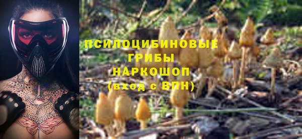 синтетический гашиш Дмитровск