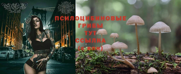 соль курить ск Дмитров
